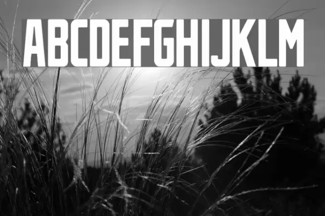 StahlbetontrŠger-Compressed Font examples