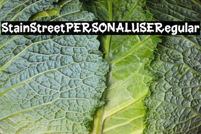 Stain Street PERSONAL USE Regular Example 1