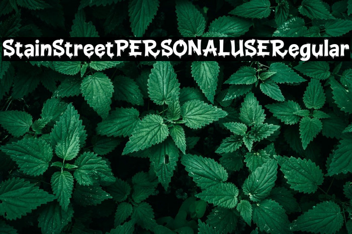 Stain Street PERSONAL USE Regular Example 2