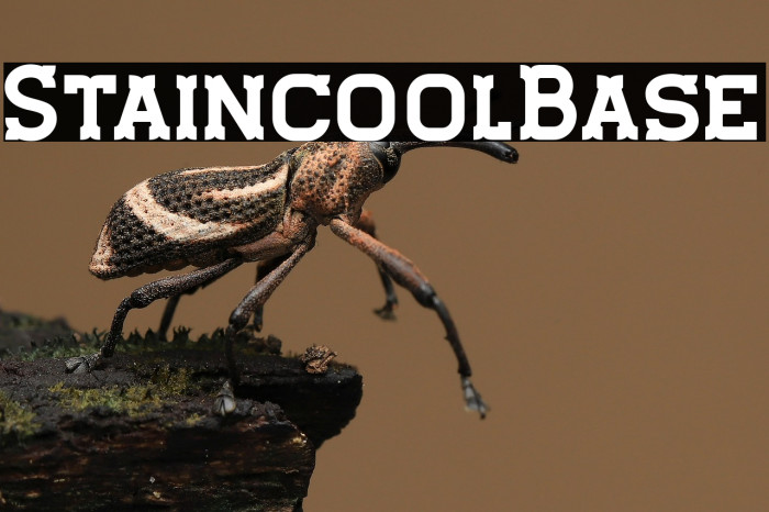 StaincoolBase Example 2