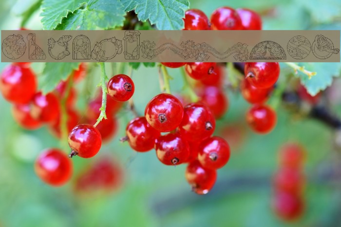 St'aint Glass Example 1