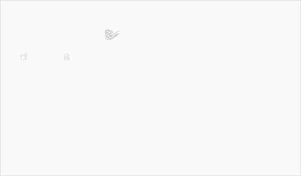 St'aint Glass Business Card