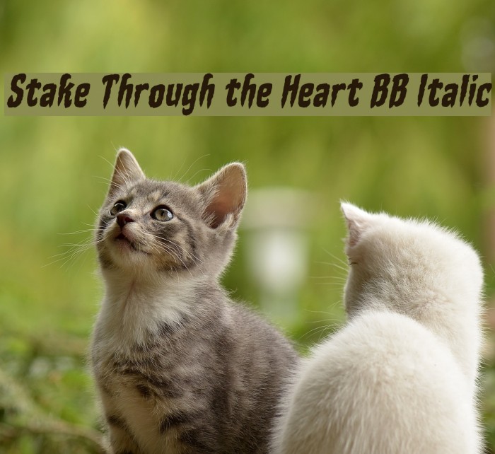 Stake Through the Heart BB Italic Font examples