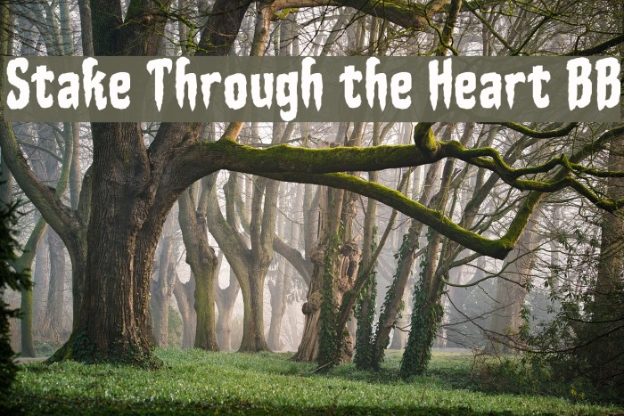 Stake Through the Heart BB Font examples