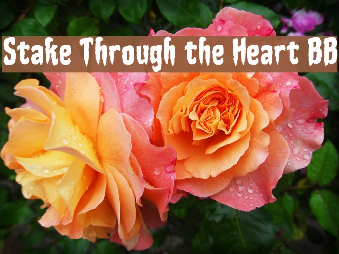 Stake Through the Heart BB Font examples