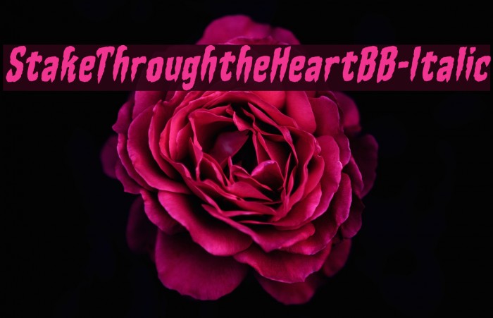 StakeThroughtheHeartBB-Italic Font examples