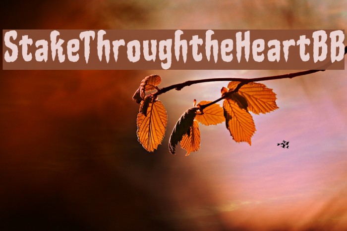 StakeThroughtheHeartBB Font examples