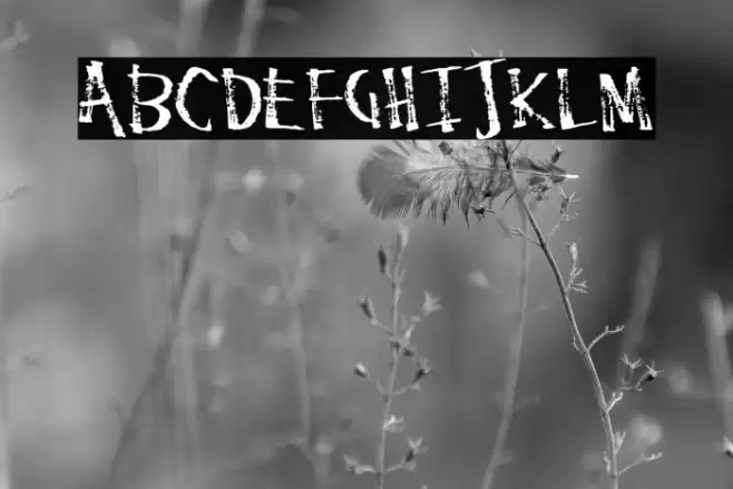 StaleMarker Font examples