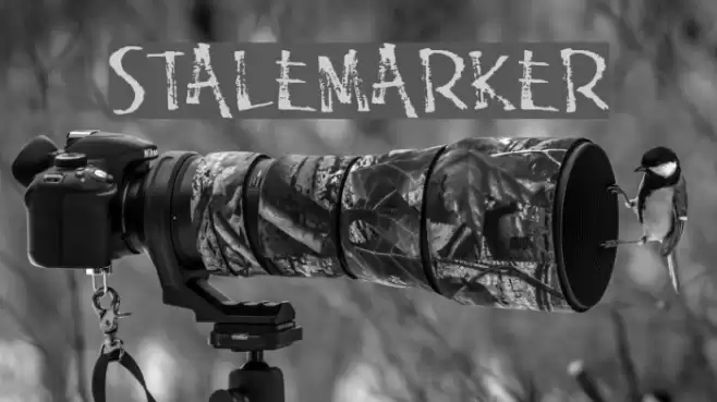 StaleMarker Font examples