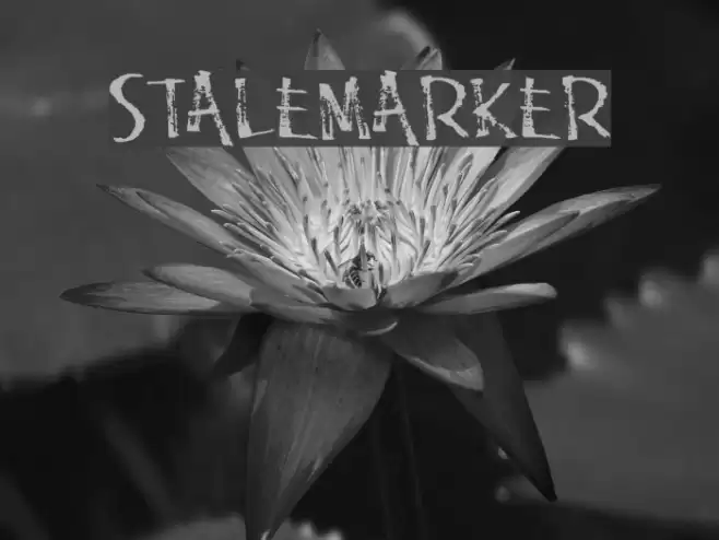 StaleMarker Font examples
