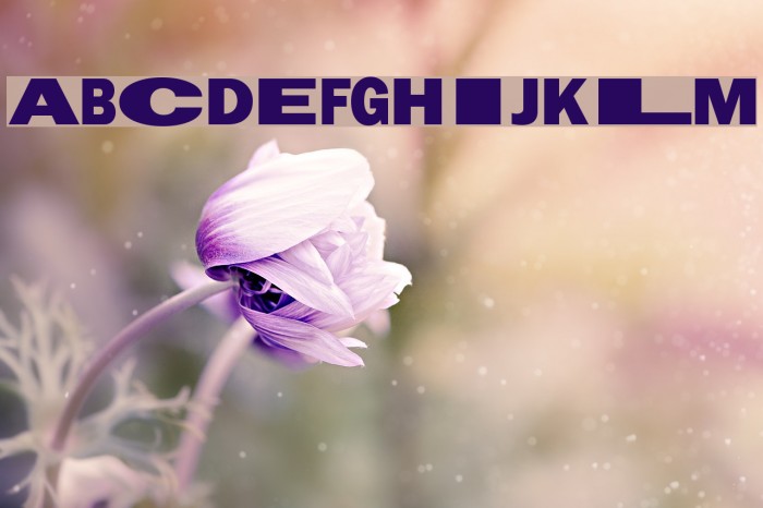 Staley Font examples