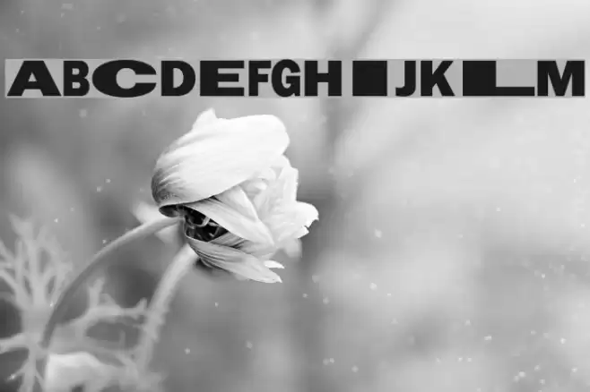 Staley Font examples