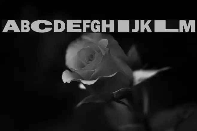 Staley Font examples