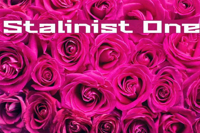 Stalinist One Font examples