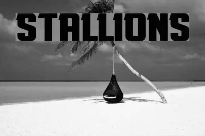 Stallions Font examples