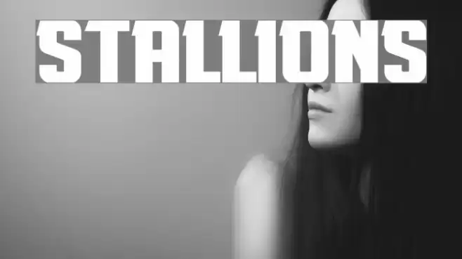 Stallions Font examples