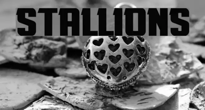 Stallions Font examples