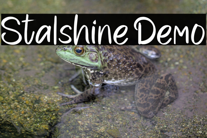 Stalshine Demo Example 2