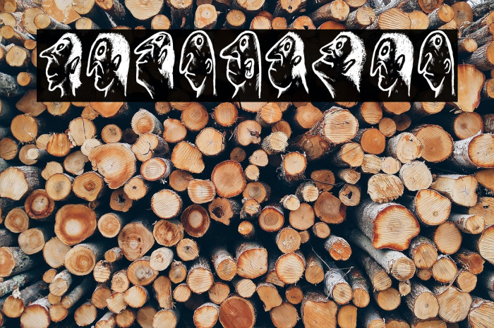 Stam Regular Font examples