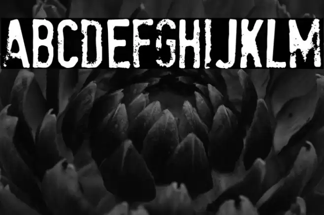 StamPete Font examples