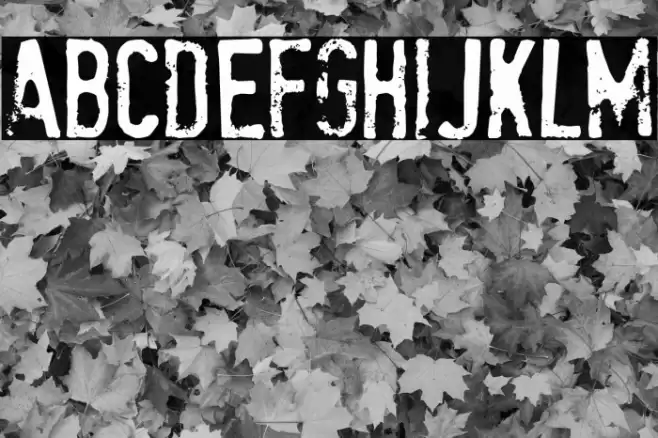 StamPete Font examples