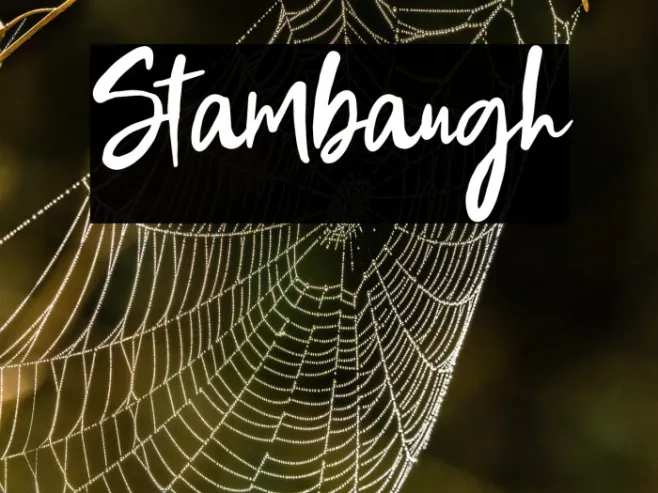 Stambaugh Example 1