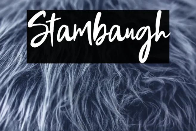 Stambaugh Example 2