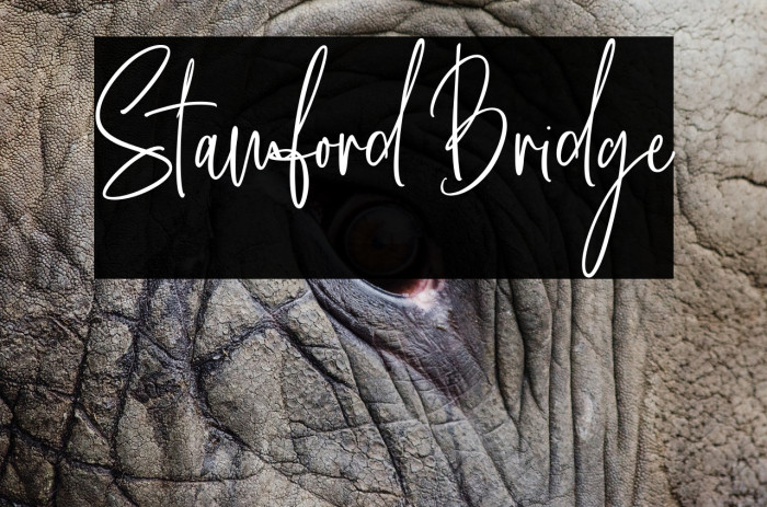 Stamford Bridge Font examples
