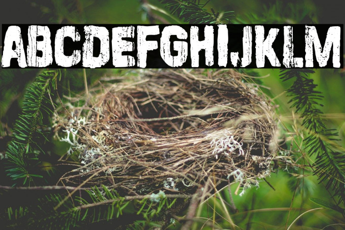 Stamp Empire Example 1