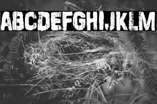 Stamp Empire Font examples