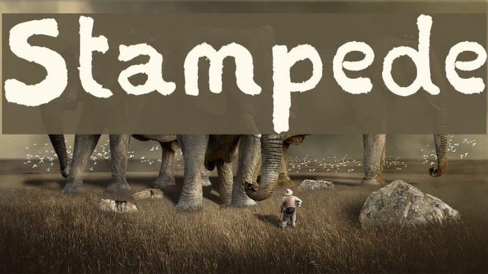 Stampede Font examples