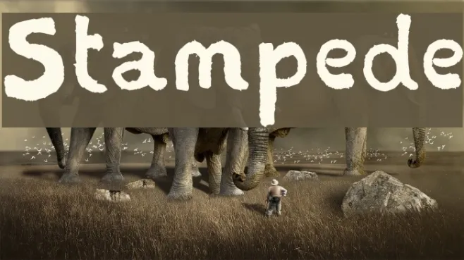 Stampede Example 2