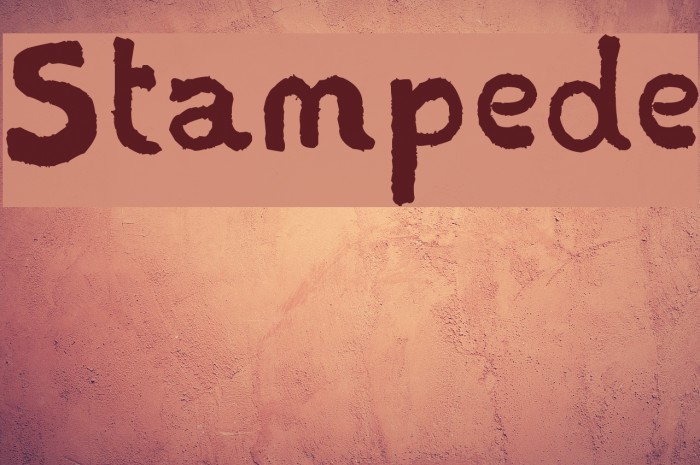 Stampede Font examples