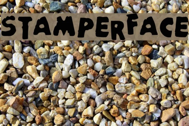 StamperFace Example 3