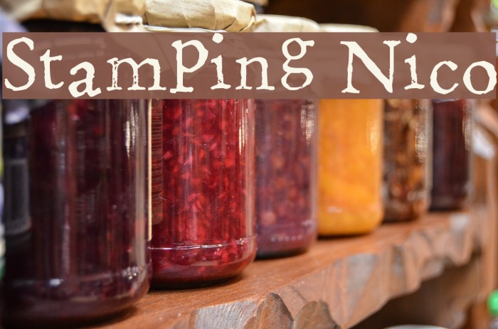 Stamping Nico Font examples