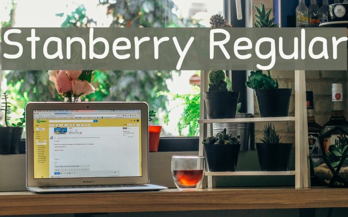 Stanberry Regular Font examples