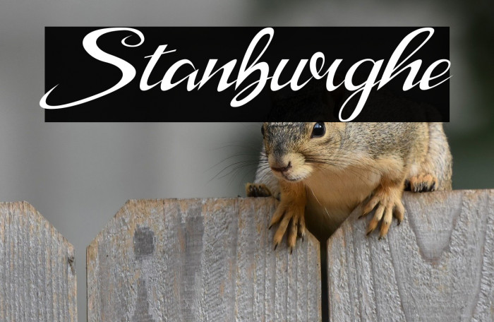 Stanburghe Example 3