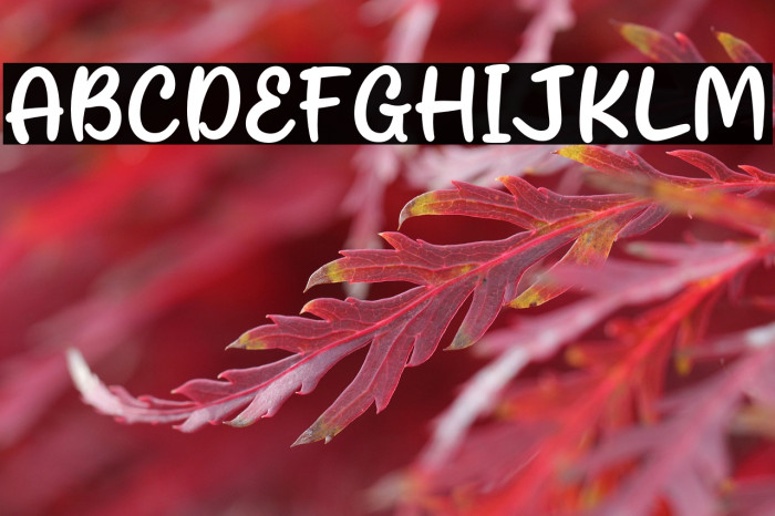 Stand Alone Example 3