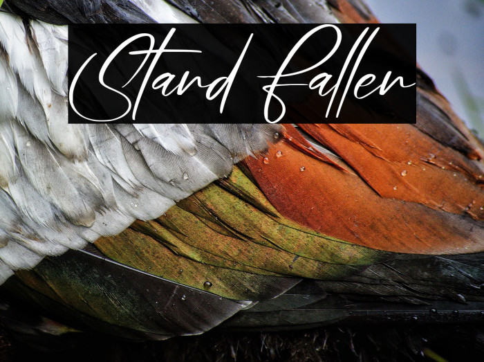 Stand Fallen Example 1