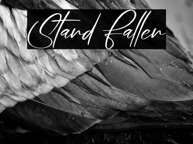 Stand Fallen Font examples