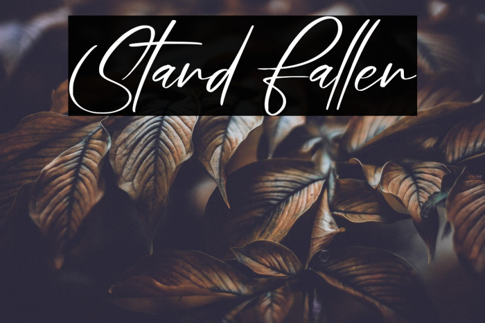 Stand Fallen Example 2