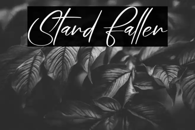 Stand Fallen Font examples