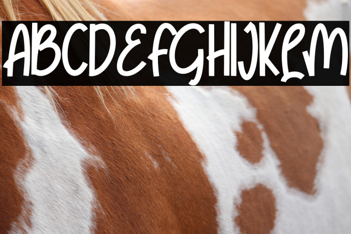 Stand Late Example 1