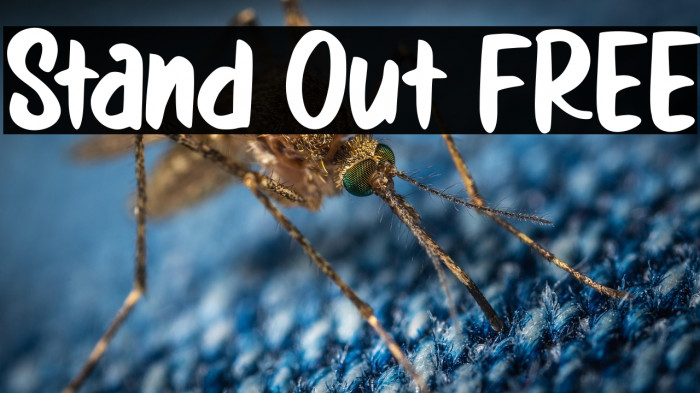 Stand Out FREE Example 2