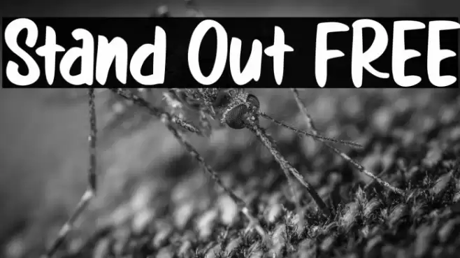 Stand Out FREE Font examples