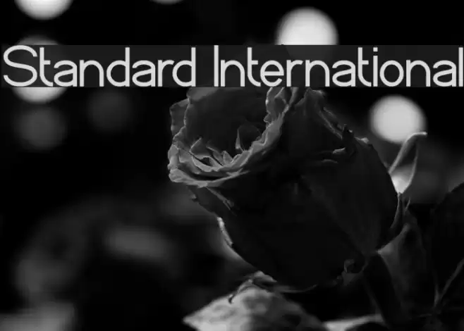Standard International Font examples