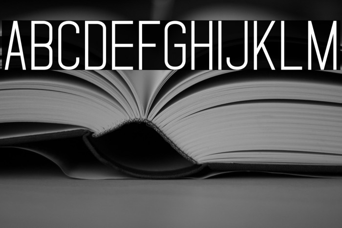 StandarisRegular Example 3