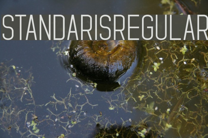 StandarisRegular Font examples