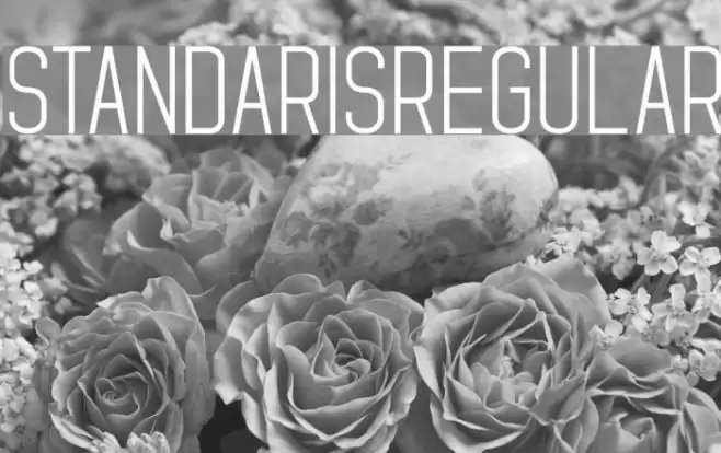 StandarisRegular Font examples