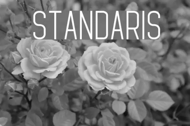 Standaris Font examples
